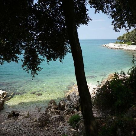 Guesthouse Galeb Vrsar Ngoại thất bức ảnh